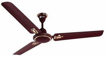 fan